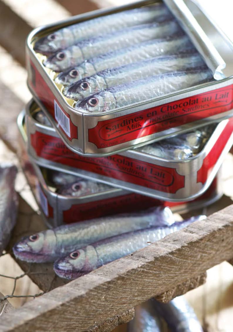 Chocolate Sardines in a Tin Etsy