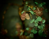 Make Your Own Story-Custom Gemstone Tree feng shui, chakra, metaphysical sculpture