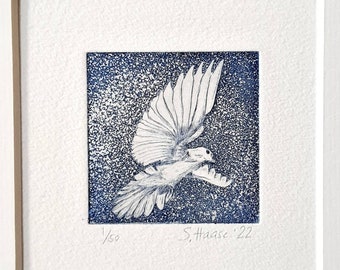 White dove, dove of peace, original etching with passepartout, original Etching of a white Dove of Peace with passepartout (mat).