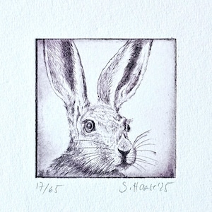 Hare etching, original etching of Hare with passepartout, different COLORS, original Etching of Hare, different COLORS!