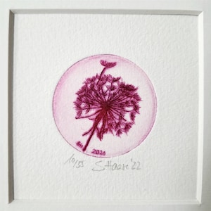 May include: A pink and white framed print of a detailed line drawing of a dandelion seed head in a circle. The print is signed and dated "SH 2020 10/155 S.Haak '22"
