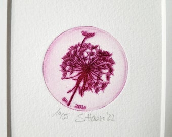 Dandelion, Dandelion, small original etching with Passpartout original etching of a dandelion with Passepartout