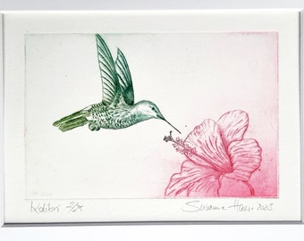 Humming-Bird,  Humming Birg  original etching, colored