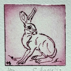 Hare etching, original etching hare with passepartout, different COLORS, original Etching of Hare, different COLORS!