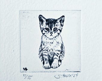Original etching kitten, baby cat, etching kitten, small cat, original with passepartout, unique.