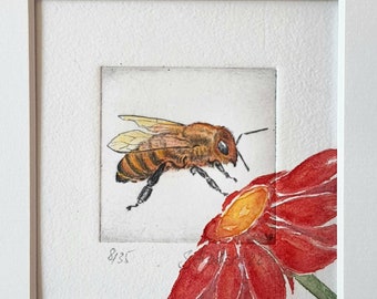 Biene, Honigbiene, Bee, original Radierung mit Passepartout - original Etching of a bee, honeybee with Passepartout