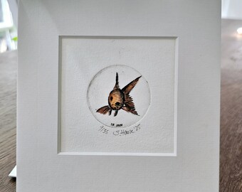 Goldfish Fish, original etching with passepartout, original Etching of a Goldfish Fish with passepartout