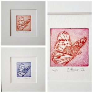 Schmetterling original Radierung mit Passepartout, Butterfly original Etching with Passepartout