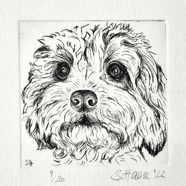 Cavapoo Hund (Cavalier King Charles/Pudel-Mischung) original Radierung mit Passepartout, Cavapoo Dog original etching with Passepartout.