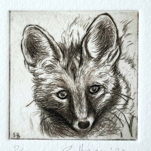 Fox, Fox, original etching- Symbol smart, Intelligence - Originsl Etching little Fox - symbol intelligence, smart- with/with Passepartout