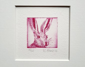 Hase Radierung, original Radierung Hase mit Passepartout, verschiedene FARBEN, original Etching of Hare, different COLORS!