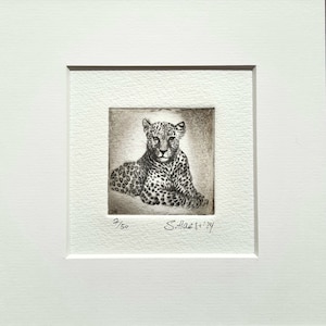 Leopard, big cat, original etching with passepartout, original etching of a leopard with mat