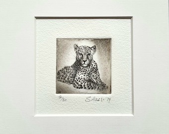 Leopard, big cat, original etching with passe-partout