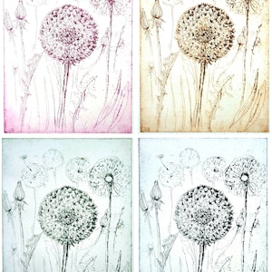 Dandelion &quot;Make a Wish&quot;, dandelion - etching in different colors, Dandelion Etching different colors