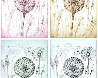 Dandelion "Make a Wish", dandelion - etching in different colors, Dandelion Etching different colors