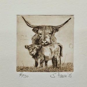 Original Etching Mini Cow, Highland Cow small cow with Passepartout, original Etching Mini Cow, Highland Cow small cow with Passepartout.