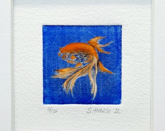 Goldfish, fish, etching original mezzotint, original mezzotint Etching Goldfish, fish, with/with passe-partout