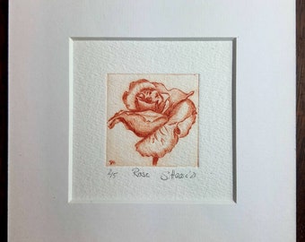 Original etching of a rose in pink, orange or yellow with passepartout., original etching of a rose in pink, orange or yellow with passepartout