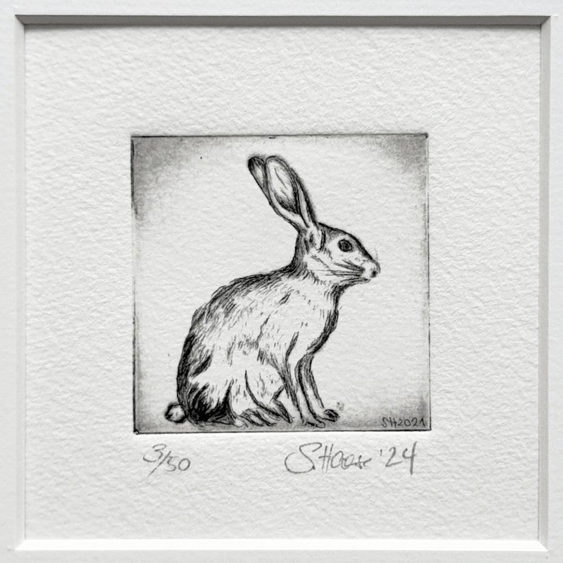 Original Mini Etching of a Small Hare or Rabbit, Limited, Original ...