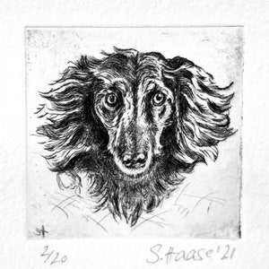 Original Etching Wiener Dog, Dachshund with Passepartout, Original Etching Dachshund, Longhair Dachshund Dog with Passepartout