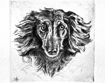 Original Etching Wiener Dog, Dachshund with Passepartout, Original Radierung Dackel, Langhaardackel Hundmit Passepartout