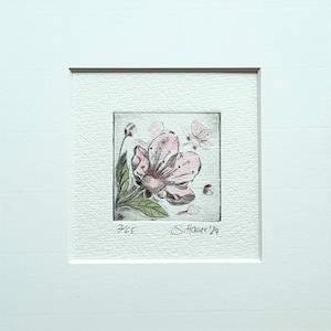 May include: A delicate pink flower with green leaves and petals, drawn in black ink and watercolour. The artwork is signed "S. Hoare '24" and numbered "2/65".