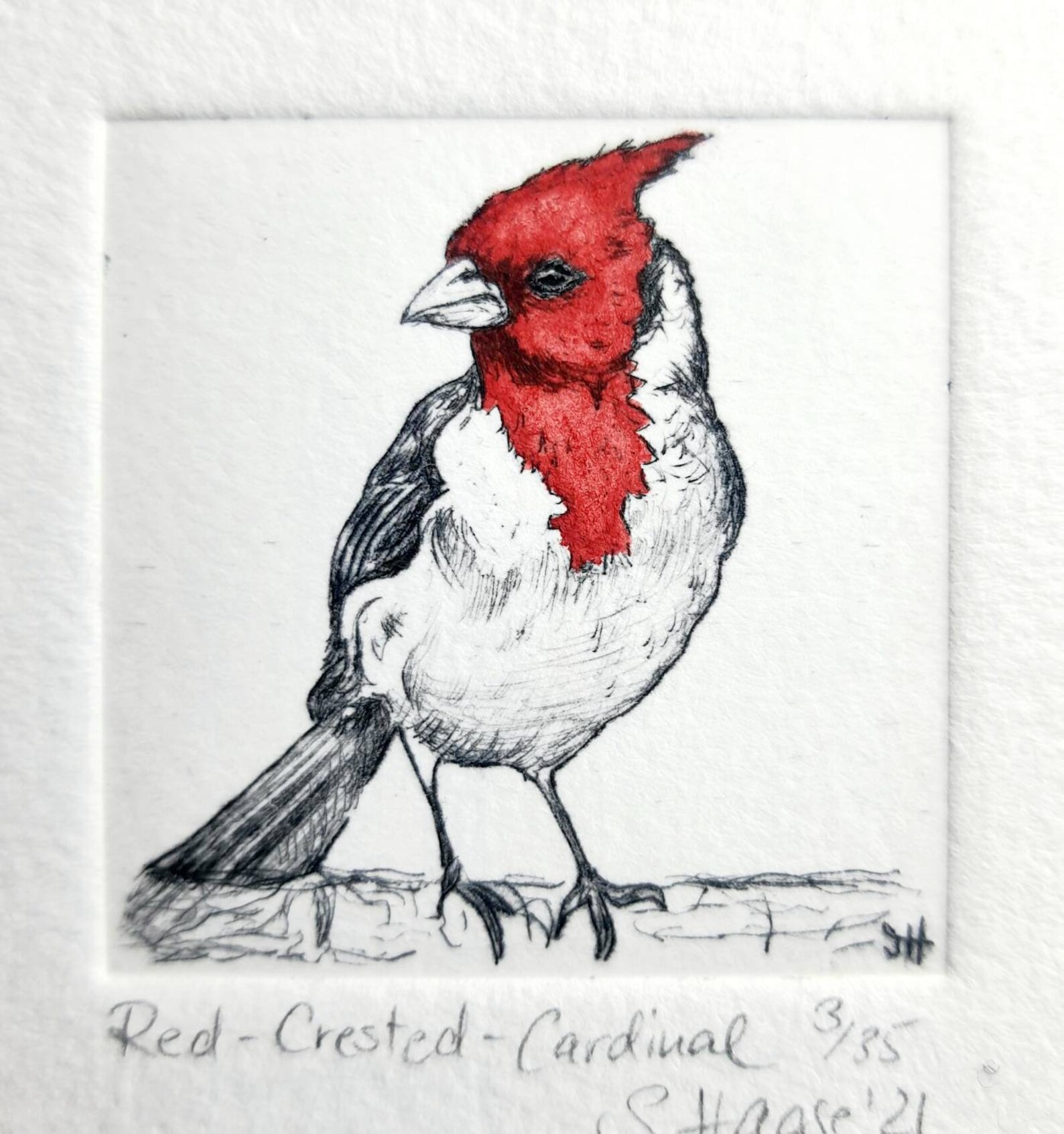 Cardinal Etching, Original Including Passepartout, Small Original ...