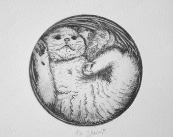 Runde, original Kaltnadel-Radierung (m)eines Kätzchen - round original drypoint etching of a (my) kitten