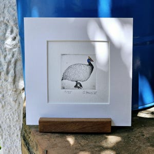 Guinea fowl small, original etching, colored or black&white - Guinea Fowl, original Etching, colored or black&white, with/with Passepartout