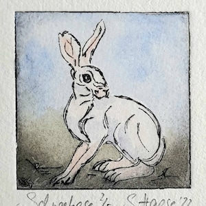 Kleine original Radierung eines Schneehasen weißen Hasen mit Passepartout - Small original Etching of an Arctic white Hare with Passepartout