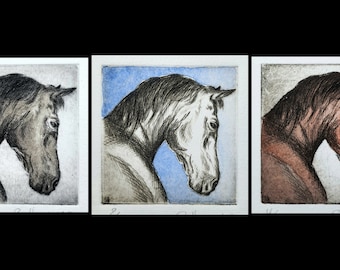 Horse, horse portrait, grey, brown, black, original etching with passepartout, colored, original etching color of a horse with mat