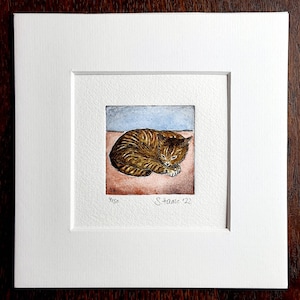 May include: A framed watercolor painting of a brown tabby cat curled up asleep on a pink surface. The painting is signed "S.Haase '22" and numbered "4150".