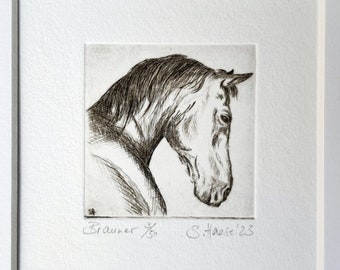 Horse, Black Beauty, Bay, original etching with passepartout, original etching of a horse with mat