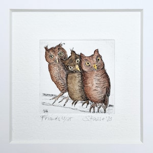 Owls, owl, owl, owl, original etching including passepartout, original etching of three owls, owl including passepartout