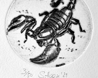 Zodiac sign Scorpio Zodiac Sign Scorpion, original etching Etching with white passe-partout.