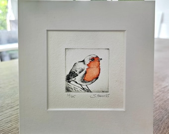 Robin, original etching with passe-partout