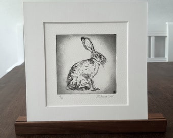 Original Radierung eines Hasen, Kaninchens, Etching of a Hare, Rabbit, Bunny original with/mit Passepartout, 10 x 10 cm, 3.9 x 3.9 inches