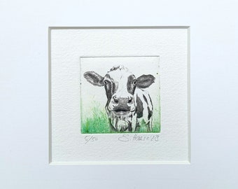 Original etching cow with passepartout, original Etching Cow with passepartout.