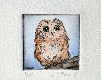 Owl, eagle owl, little screech owl, small etching including passepartout, Small Etching of an Owl including Passepartout
