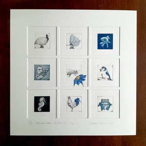 Popurrí de animales negro-azul, 9 grabados originales de animales, punta seca, aguatinta y mezzotinta, 9 grabados originales con paspartú