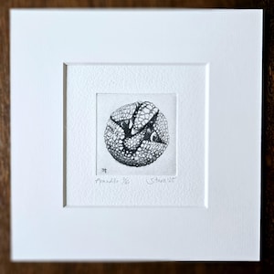 Könnte beinhalten: Eine Schwarzweiß-Radierung eines in sich zusammengerollten Gürteltiers. Das Bild ist in einem weißen Passepartout und einem Holzrahmen gerahmt. Der Text "Armadillo 3/6" und "S.Hearn 22" ist unterhalb des Bildes sichtbar.