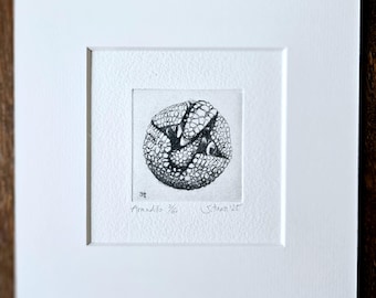 Gürteltier, original Radierung mit Passepartout - original Etching of an Armadillo with Passepartout
