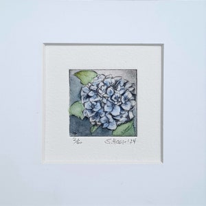 May include: A blue and green watercolor painting of a hydrangea flower. The painting is signed "S.Hoefs-124" and numbered "2/60".