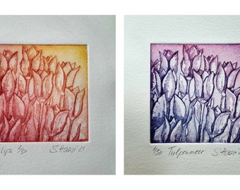Etching tulips in red or violet. Mit/with Passepartout