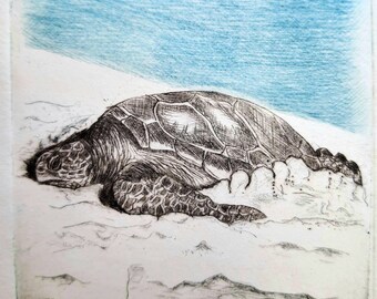 Giant sea turtle on the beach - original etching also as two-color print, original Etching Sea-Turtle on beach, two colored avail.