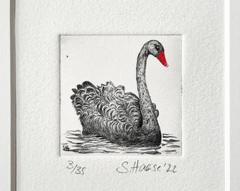 Schwarzer Schwan, Trauerschwan, original Radierung, Etching, Black Swan, original with Passepartout