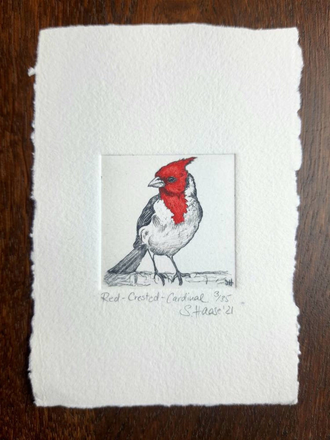 Cardinal Etching, Original Including Passepartout, Small Original ...