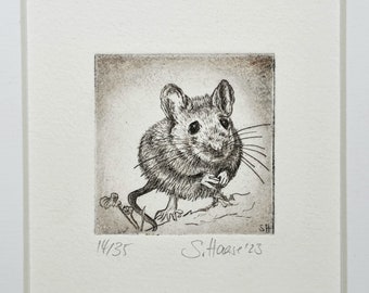 Maus, Feldmaus, Mäuschen, original Radierung mit Passepartout, original Etching Mouse picture with Passepartout, einzigartig - unique.