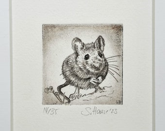 Mouse, field mouse, little mouse, original etching with passepartout, original Etching Mouse picture with passepartout, unique - unique.