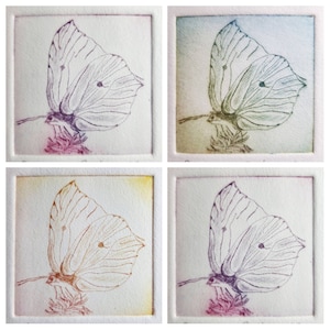 Radierung eines Schmetterlings &quot;Zitronenfalter&quot; inklusive Passepartout, Etching of a Common Brimstone Butterfly including Passepartout
